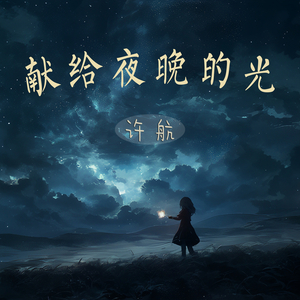 献给夜晚的光