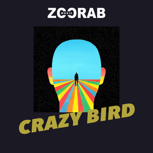 Crazy bird