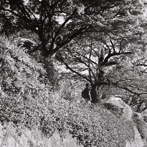 でも、僕はこれ以外に、自分を守る方法を思いつかなかった