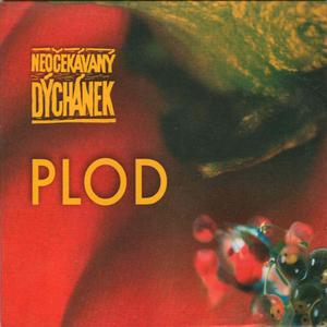 Nešťastná ženitba