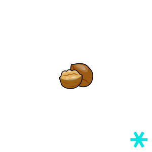 숫자