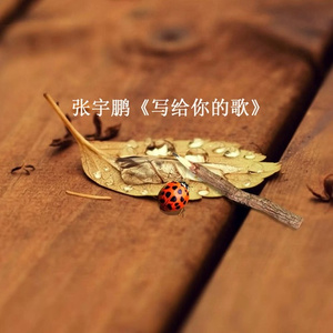 写给你的歌