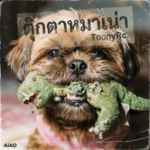 ตุ๊กตาหมาเน่า