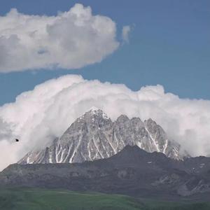 鸽子精的日常咕咕咕