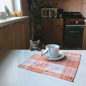 [FREE] discoplug + plugnb type beat