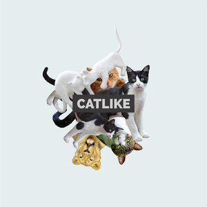 Catlike