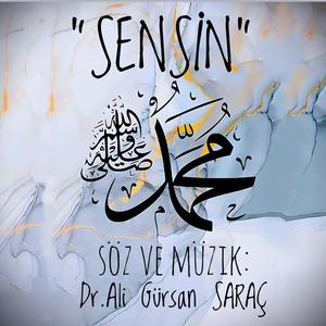 SENSİN (Enstrümantal)