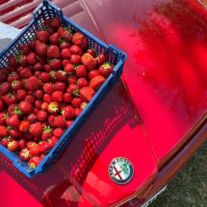 Ei Keegi Saa Röövida Me Suve