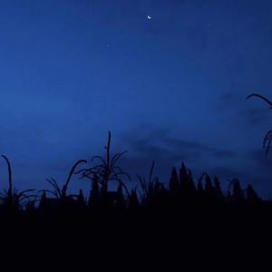 云朵外卖送错地址