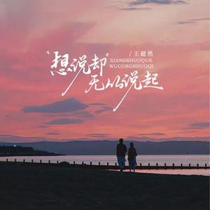 想说却无从说起