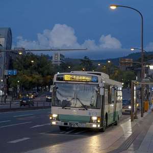 岑宁儿-追光者Remix(LV&FM)（驸马 / 小绿liG remix）