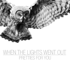 When the Lights Went Out