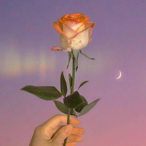 花店的花（Prod.by Chillen）