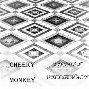 Cheeky Monkey