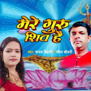 मेरे गुरु शिव हैं
