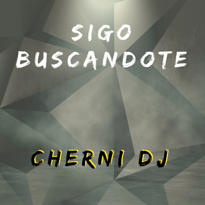 Sigo Buscandote