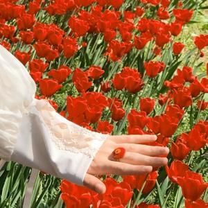 超甜光环的小仙女