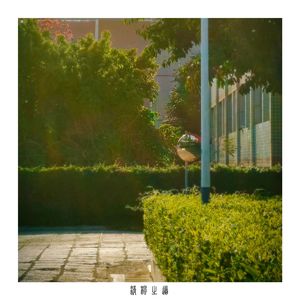 浮生若梦（Life And Dream)