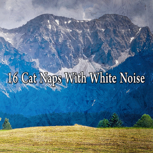 通過噪音培養和諧