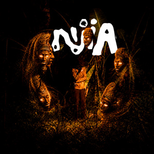 NJIA