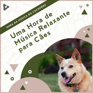 Música Calma para Cães