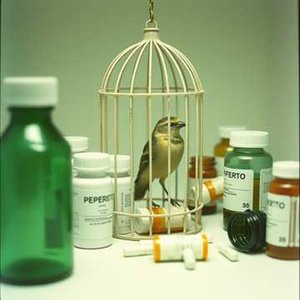 (의사야 내 말 좀 들어줘)