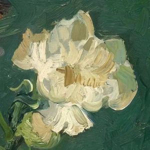 银河婚礼 Wedding On the Milky Way