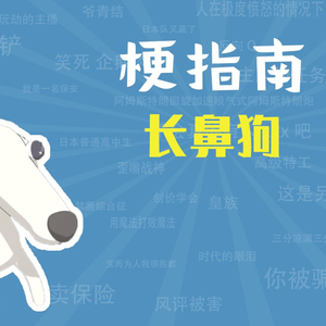 长鼻狗是什么梗【梗指南】