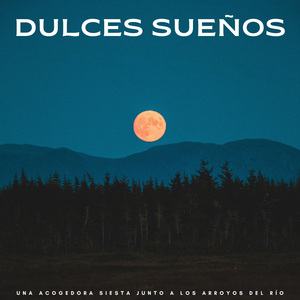 Quedarse Dormido