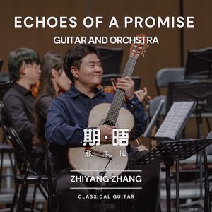 爱的罗曼斯（吉他与弦乐协奏版）