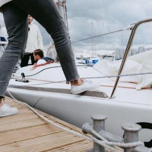 Silver Horizon Bloom