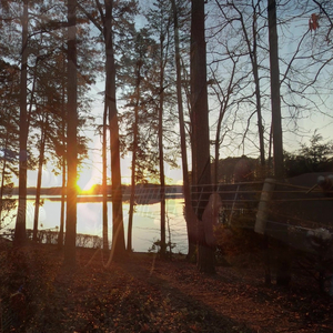 Ease Back the Tiller