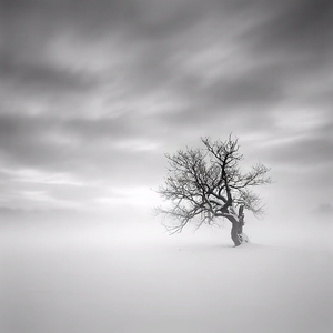 花总和摆哥的爱情过往