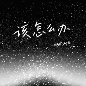 该怎么办 (Cover TC)