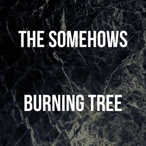 Burning Tree