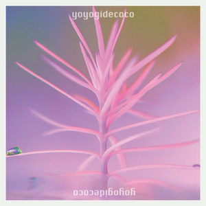 スケルトン (2025)