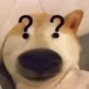 忘记不了的 会梦见的