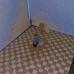 Dead Roses Falling Candle