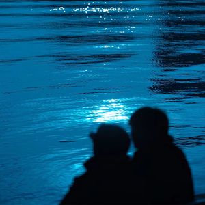 Perfect (理想之境)