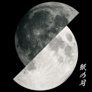 紙の月