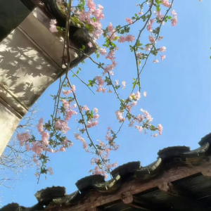 没滋没味
