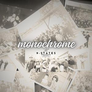 monochrome (SUNO-AI Generated Sound Source)