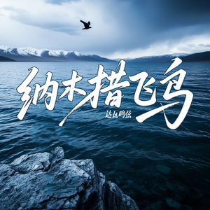 纳木错飞鸟
