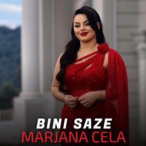 Bini Saze