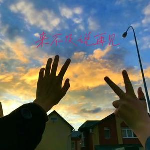 起风了-翻自周深