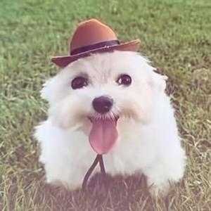 AWW SO CUTE