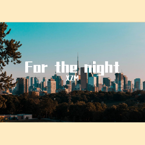 for the night(有人声版)