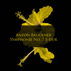 Symphony No. 7 in E Major, WAB 107:I. Allegro moderato