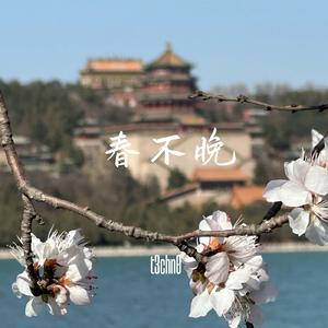 春不晚