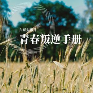 青春叛逆手册&六哥去哪儿